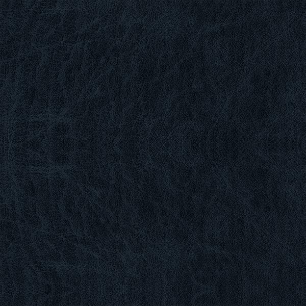 Dark Blue 48