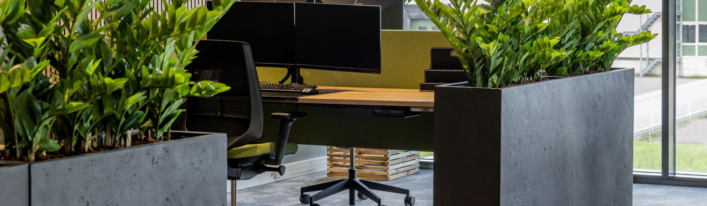 Zwarte bureaus voor moderne kantoorinrichting