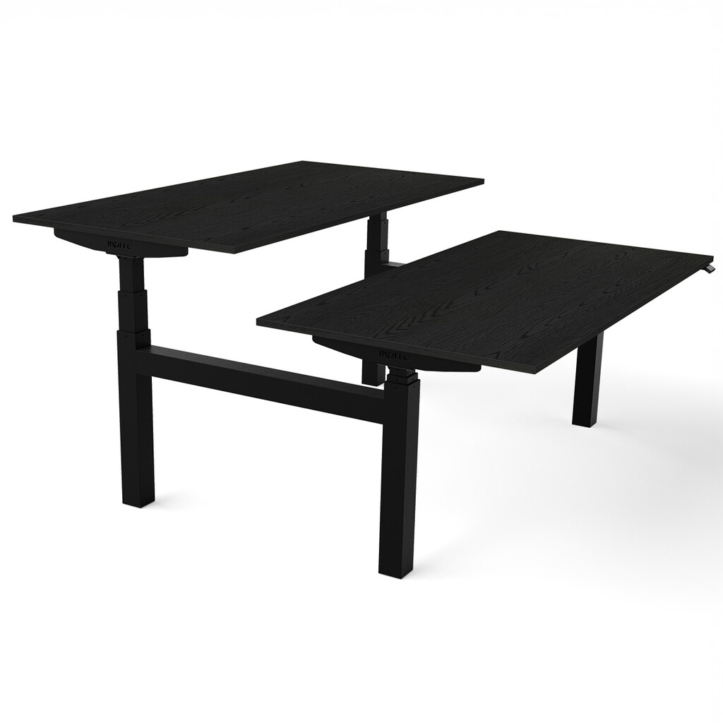 Zit sta bureau Flex Duo H-frame elektrisch NPR