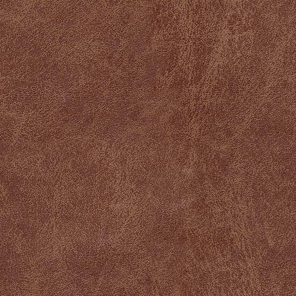 Camel 09
