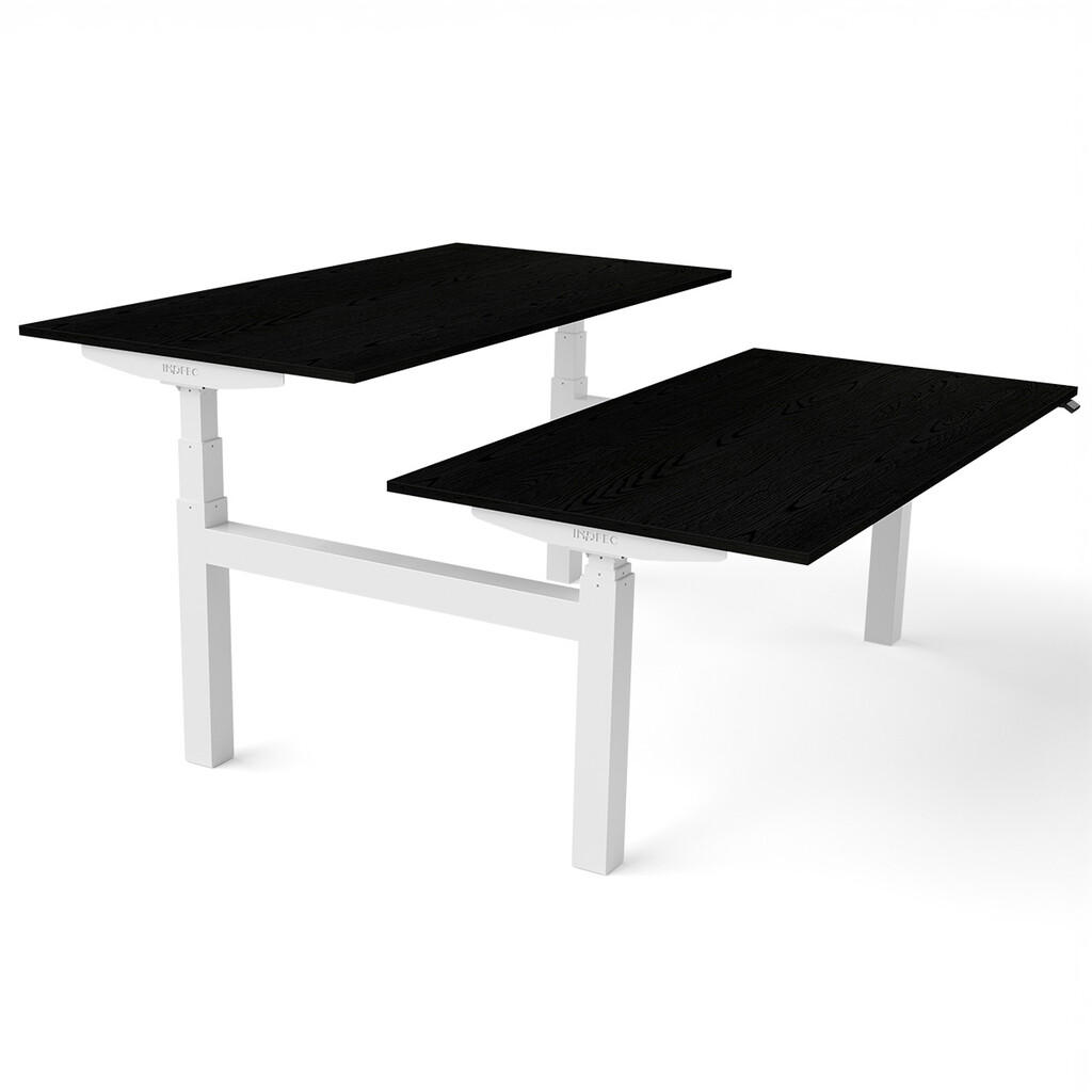 Zit sta bureau Flex Duo H-frame elektrisch NPR