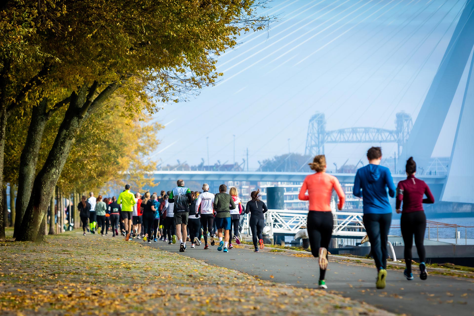 Maastunnelloop-groot