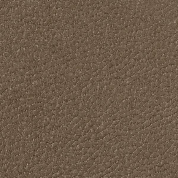 Taupe C882