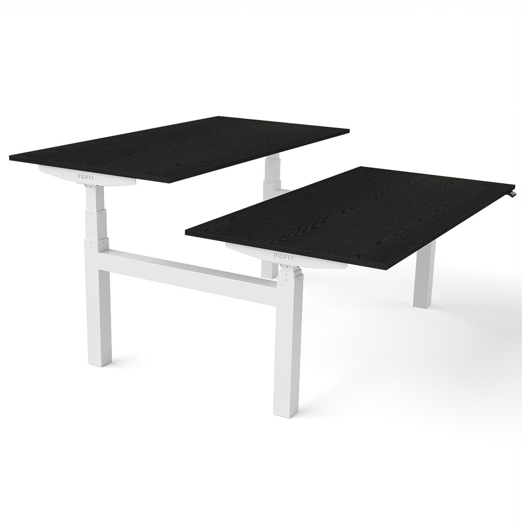 Zit sta bureau Flex Duo H-frame elektrisch NPR