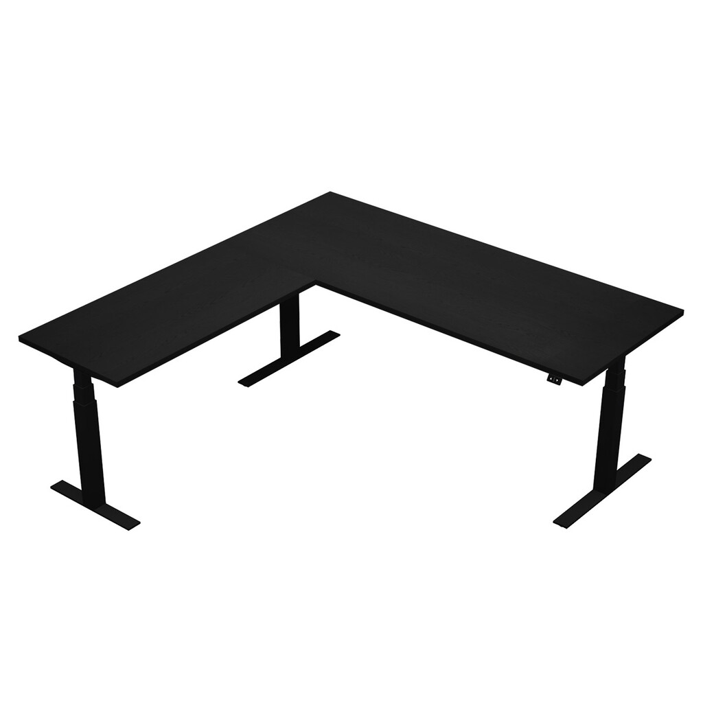 Zit sta hoekbureau Flex T-poot elektrisch NPR