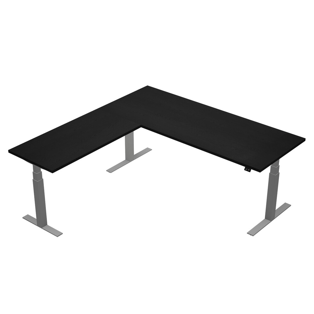 Zit sta hoekbureau Flex T-poot elektrisch NPR