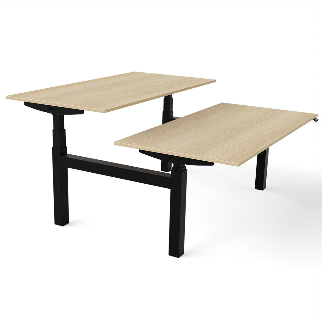 Zit sta bureau Flex Duo H-frame elektrisch NPR