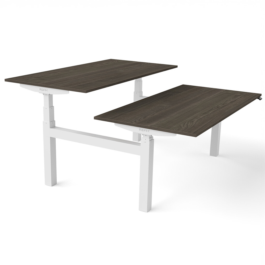 Zit sta bureau Flex Duo H-frame elektrisch NPR